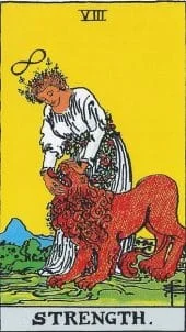 card-11