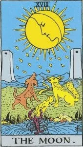 card-15